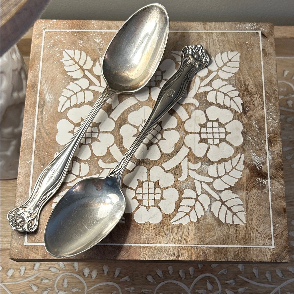 Rogers Brothers Myatic Pattern Silver Tone Serving Spoon Set - 2 in set